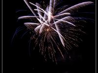 IMG 24980