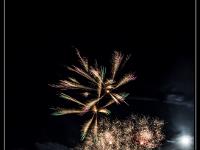IMG 25371