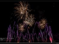 IMG 24231