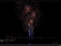 IMG 24291
