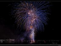 IMG 24295