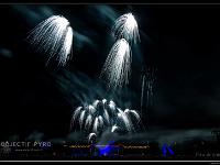 IMG 25495