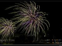 IMG 26263