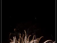 IMG 21681