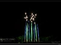 IMG 29319