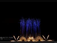 IMG 29351
