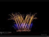 IMG 29352