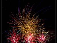 IMG 29864