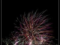 IMG 29867