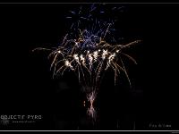 IMG 29887