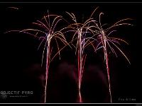 IMG 29905