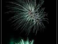 IMG 29568