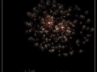 IMG 7487