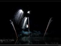 IMG 29519