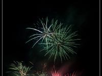 IMG 29642