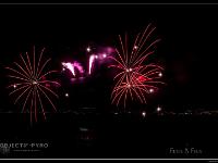 IMG 31261