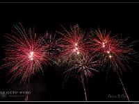 IMG 31319