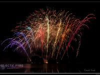 IMG 27858