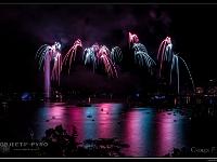 IMG 31134