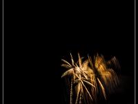 IMG 32667