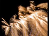 IMG 26851
