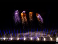 IMG 32885
