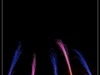 IMG 27458