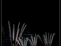 IMG 32598