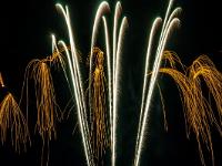 IMG 39576