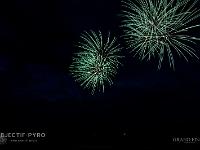 IMG 36017