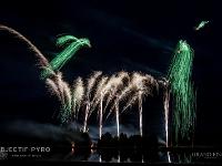 IMG 36020