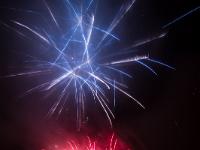 IMG 36083