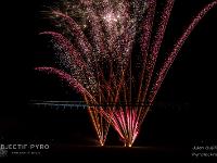 IMG 39548