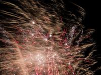 IMG 39564