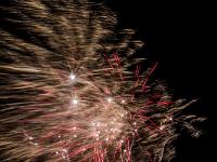 IMG 39566