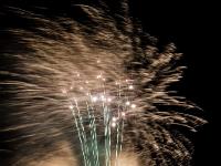 IMG 39568