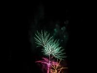 IMG 37681