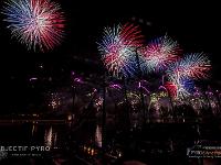 IMG 39195