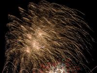 IMG 36225
