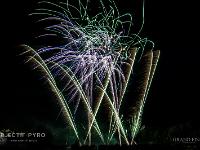 IMG 42869