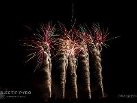 IMG 42876