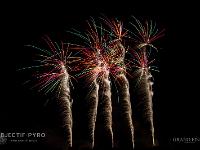 IMG 42877