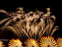 IMG 42885