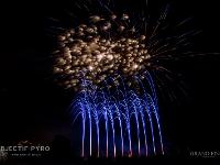 IMG 42905