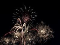 IMG 42919