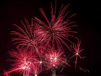 IMG 42924