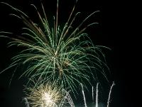 IMG 42931