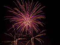 IMG 42938
