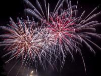 IMG 42949