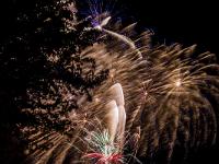 IMG 42842